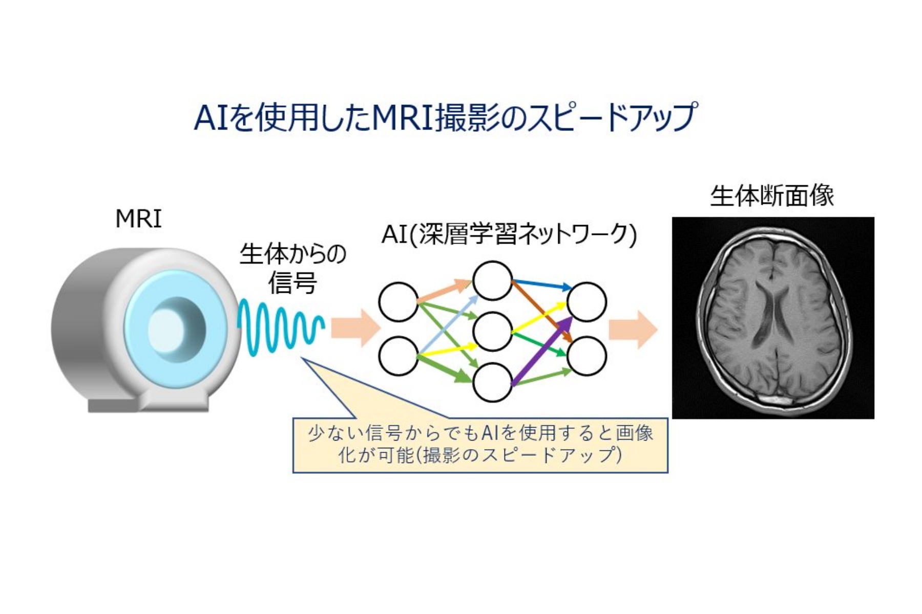 大津金光 研究テーマ 画像