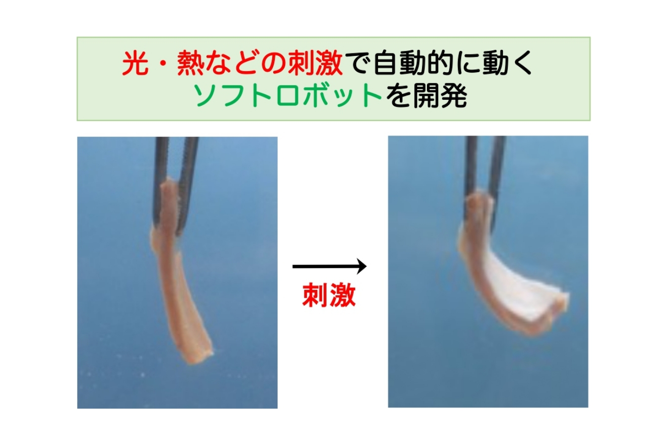 応用化学コース 画像1