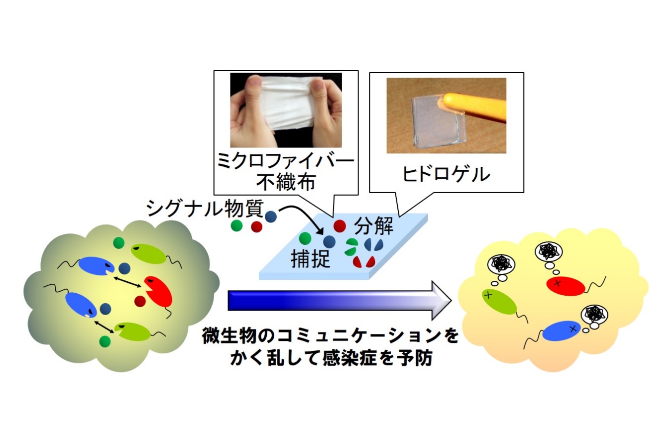 応用化学コース 画像1