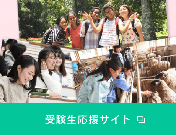 受験生応援サイト