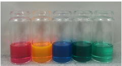 伊藤 智志 当研究室で開発した色素類の色調変化-（クロロホルム溶液）