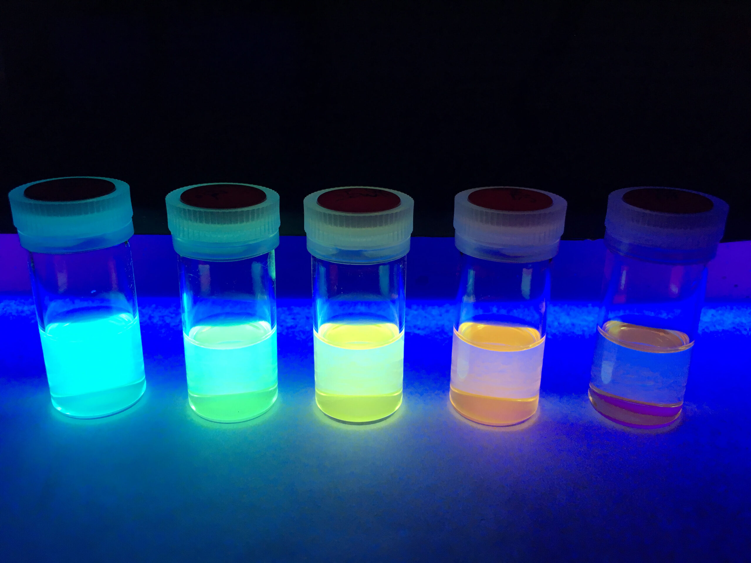  fluorophore