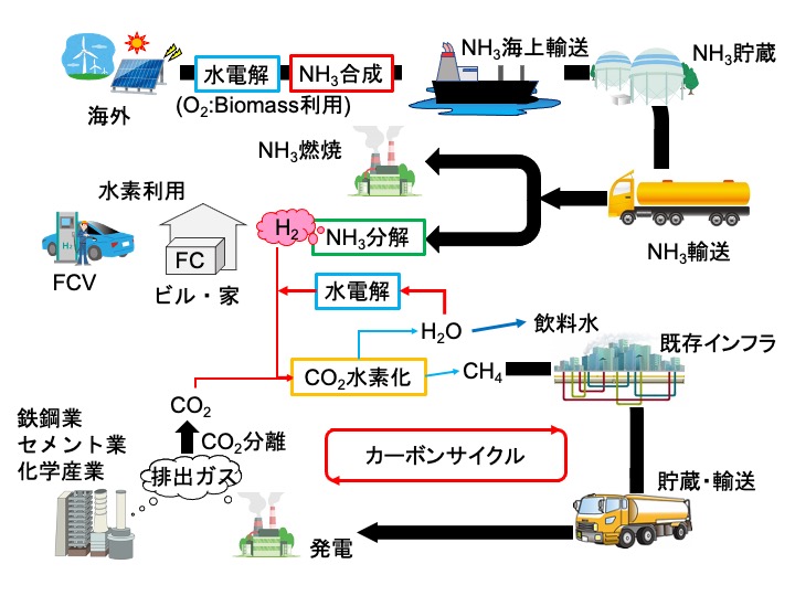 古澤 毅 研究内容図