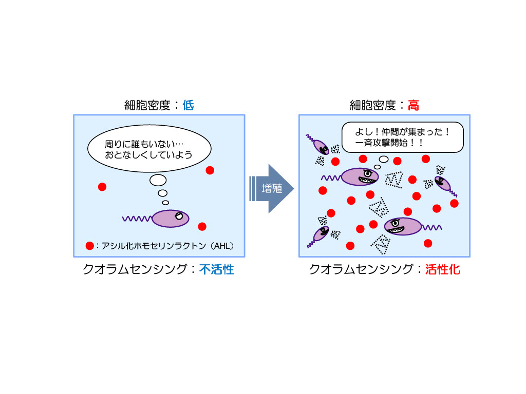 諸星 知広-生物研QSでよく使うイラスト