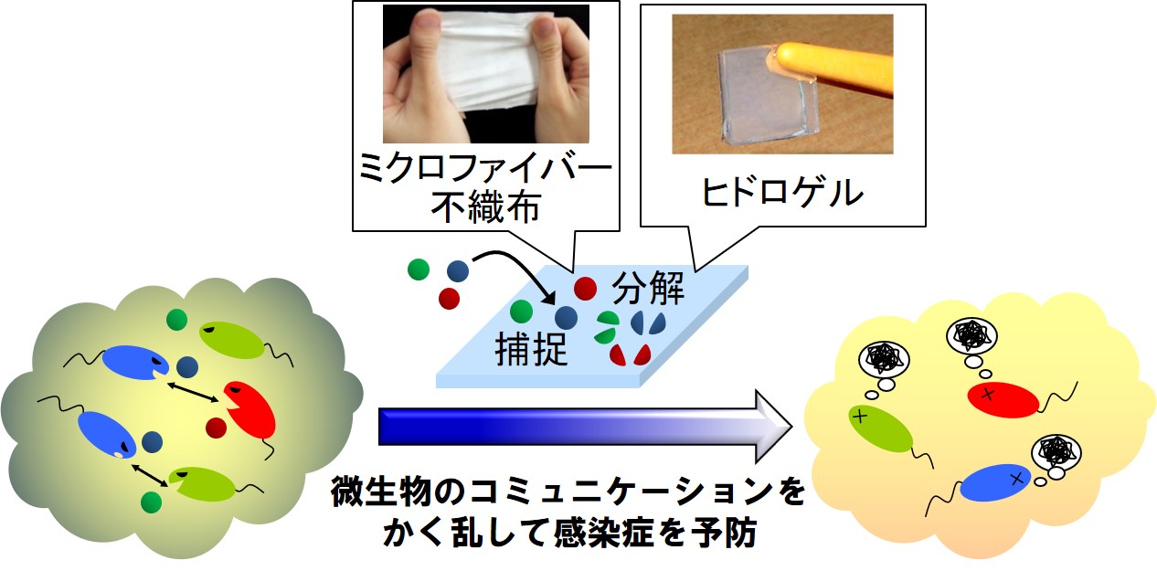 奈須野 恵理-大学HP用研究イラスト2022-1